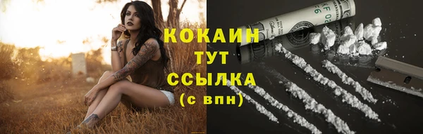 трава Новозыбков