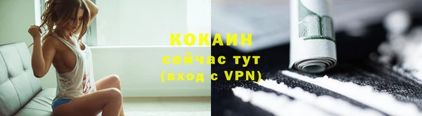 дурь Новодвинск