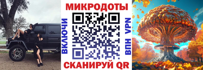 Галлюциногенные грибы Psilocybine cubensis Обь