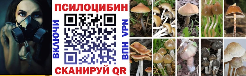 Псилоцибиновые грибы Cubensis  Обь 